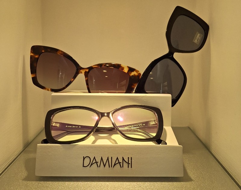 occhiali da vista damiani in vendita a torino presso ottica san federico